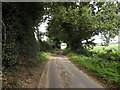 TG0723 : Old Lane, Kerdiston by Geographer