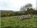 View to the Tyndale Monument