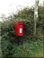 TM0893 : Woodhall Farm Postbox by Geographer
