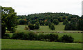 Pasture and woodland west of Carrog in Denbighshire