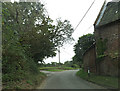 TG1016 : Morton Lane, Weston Longville by Geographer