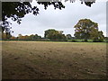 Farmland off the B5082