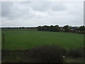 Farmland near Washlane Farm