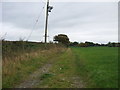 Farm track (footpath) off London Road (A50)