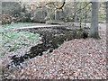 Pond in Fish Ponds Wood