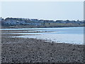 Beach and groynes east of Seasalter