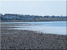 TR0965 : Beach and groynes east of Seasalter by Mike Quinn