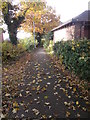 Footpath - Park Lane