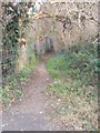 Footpath - off East View