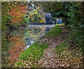 Autumn along the Grand Union Canal