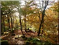 SK2579 : Autumn colour in Padley Gorge by Graham Hogg