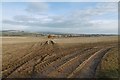 Stubble near Mains of Pittendriech