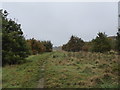 Kidsgrove: path through playing fields