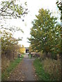 Shared cycle and pedestrian path near South Hylton