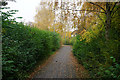 Footpath in Gorse Covert