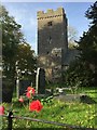 Tower of St.Mary Church