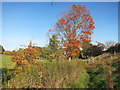 SU5667 : Autumn Footpath in Midgham Park by Des Blenkinsopp