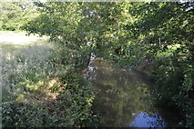 TQ3328 : River Ouse by N Chadwick