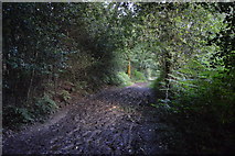 TQ3327 : High Weald Landscape Trail, River's Wood by N Chadwick