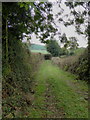 Green lane at Lower Chitterley