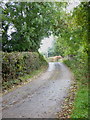 The lane to Chitterley