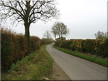 SU0692 : The lane from Waterhay to Leigh by David Purchase