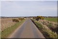 Yellow road near Colliston