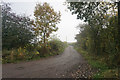 Track to New Hall Farm