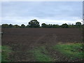 Field near Sugar Brook Farm