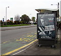 The Accountant advert on a Malpas Road bus shelter, Newport