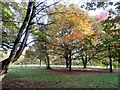 Rivington Arboretum