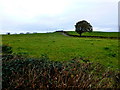 Carony Townland