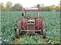 Massey Ferguson tractor