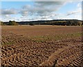 Ploughed field near Came Cross