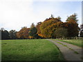 Autumn colour in Willaston Park