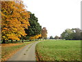 Willaston Park in the autumn