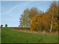 Looking up Whitings Hill