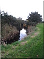 The Burren River approaching its confluence with the Shimna River