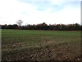 Bridleway to Famington Farm