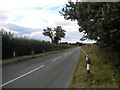 Tollerton Lane north of Tollerton (1)