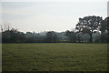 Farmland near Little Town