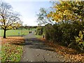 The London LOOP across Barnet Playing Fields