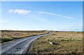 NR2842 : Moorland beside unsurfaced road to RSPB reserve by Trevor Littlewood