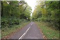 Minor road through Birch Copse, near Alweston