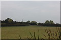 Field by the Coventry canal