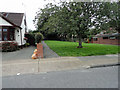 Entrance to footpath 171 in Woodhall Crescent