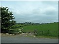 Drumlin landscape between the Monaghan and Killylea roads