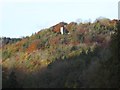 View of The Tower, Woodchester Park