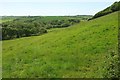 Valley side above the Neet