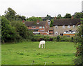 Towards the rear of houses on Well Field Lane